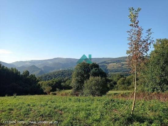  Se vende terreno rústico urbanizable en Liendo - CANTABRIA 