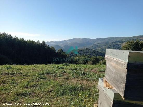 Se vende terreno rústico urbanizable en Liendo - CANTABRIA