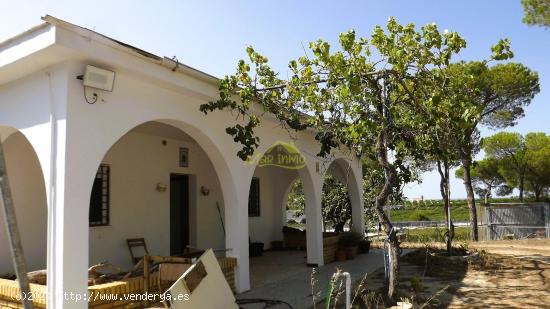  FINCA CON CASA EN CARTAYA - HUELVA 