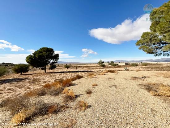 CASA DE CAMPO CON TERRENO EN LAS CAÑADAS DE ALHAMA - MURCIA