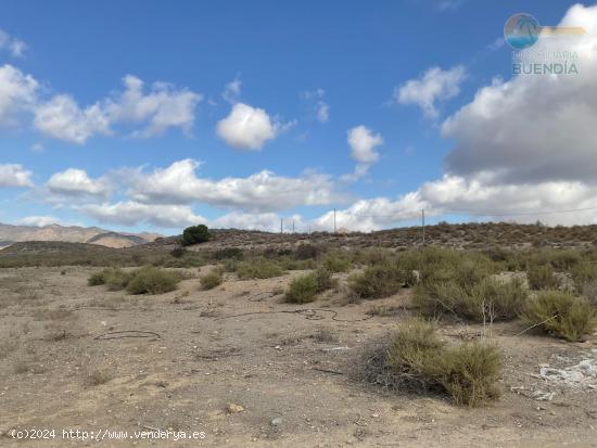 TERRENO EN LA ATALAYA - MURCIA