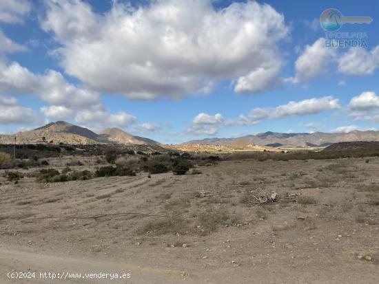 TERRENO EN LA ATALAYA - MURCIA