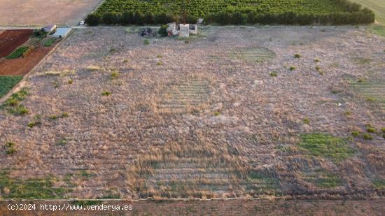 Terreno con proyecto aprobado y LICENCIA en tramites, URBANIZABLE en Muro, a 5 minutos de Sa Pobla. 