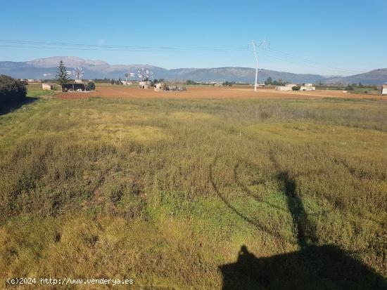 Terreno con proyecto aprobado y LICENCIA en tramites, URBANIZABLE en Muro, a 5 minutos de Sa Pobla. 