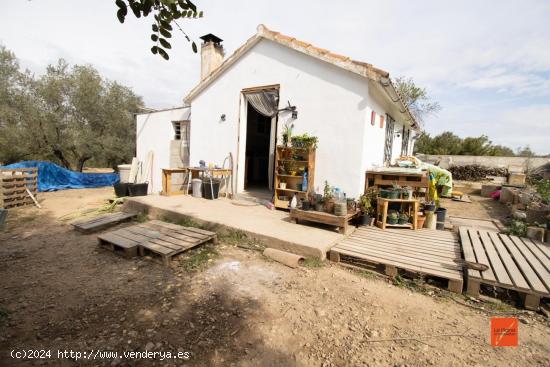 FINCA RUSTICA CON CASA EN VENTA EN FREGINALS (TARRAGONA) - TARRAGONA