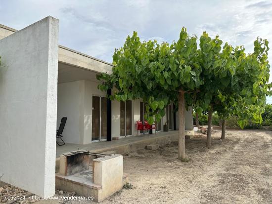 Estupenda finca rústica en el término municipal de San Miguel de Salinas, Alicante - ALICANTE