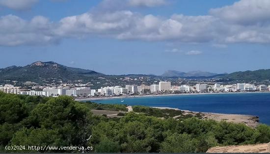 ATENCION APERTURA DE LISTAS PARA VIVIENDAS VPO EN CALA MILLOR - BALEARES