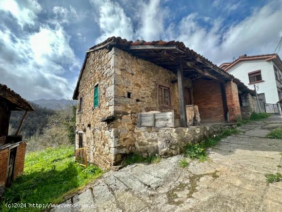 DOS CASAS DE PIEDRA ADOSADAS, FINCA CON VISTAS PANORAMICAS, PANERA Y CUADRA - ASTURIAS