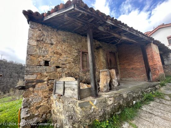 DOS CASAS DE PIEDRA ADOSADAS, FINCA CON VISTAS PANORAMICAS, PANERA Y CUADRA - ASTURIAS