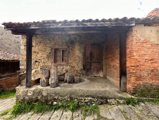 DOS CASAS DE PIEDRA ADOSADAS, FINCA CON VISTAS PANORAMICAS, PANERA Y CUADRA - ASTURIAS