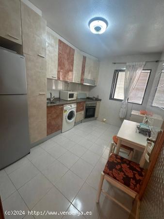 Encantador bungalow en alquiler en San Pedro del Pinatar - MURCIA