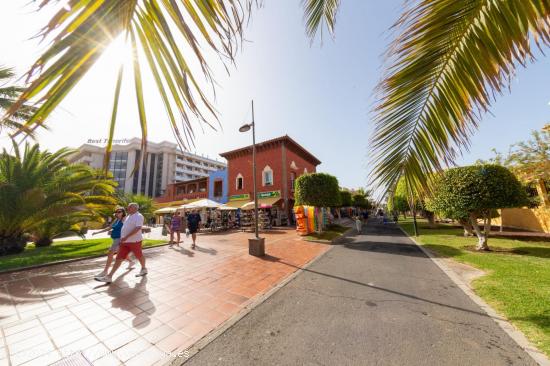 Local en venta en Playa de Las Américas - SANTA CRUZ DE TENERIFE