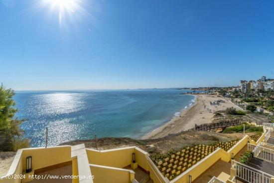 APARTAMENTO DE 3 DORMITORIOS 2 BAÑOS EN CAMPO AMOR ( AGUAMARINA) ALICANTE - ALICANTE