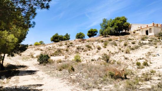 ¡Oportunidad Única: Terreno en San Vicente del Raspeig con Descuento Excepcional! - ALICANTE