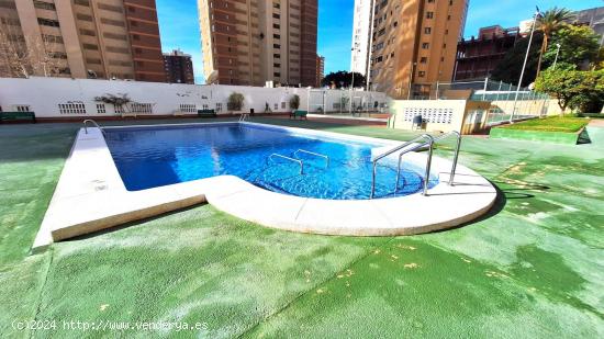 APARTAMENTO EN BENIDORM ( LICIENCIA TURISTICA INCLUIDA RESERVAS ASTA SEPTIEMBRE 2025 ) ) - ALICANTE