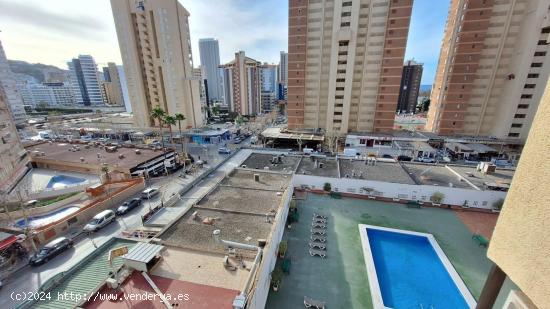 APARTAMENTO EN BENIDORM ( LICIENCIA TURISTICA INCLUIDA RESERVAS ASTA SEPTIEMBRE 2025 ) ) - ALICANTE