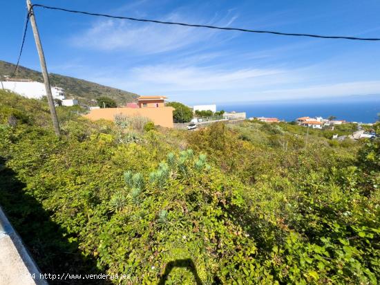 ¡Oportunidad Única!¡Terreno Urbano en Venta en Icod de los Vinos! - SANTA CRUZ DE TENERIFE