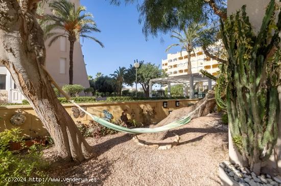 cogedor Adosado con Jardín y Patio en Torrevieja - ALICANTE