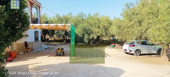 CHALET ZONA PURISIMA - VALENCIA