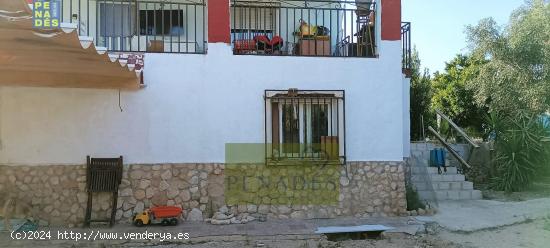 CHALET ZONA PURISIMA - VALENCIA