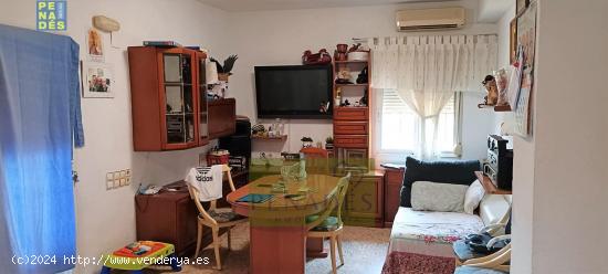 CHALET ZONA PURISIMA - VALENCIA