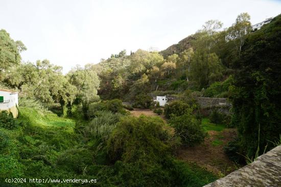 Encantadora Casa Rústica en Teror, Zona del Hornillo, con Amplio Terreno y Vistas Privilegiadas - L