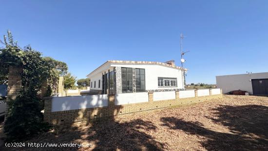 FINCA ECOLÓGICA DE 5 HA CON CASA EN GIBRALEÓN - HUELVA