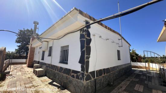 FINCA ECOLÓGICA DE 5 HA CON CASA EN GIBRALEÓN - HUELVA