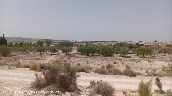 VENTA DE PARCELA EN MOLINA DE SEGURA - MURCIA