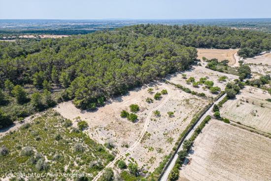 Terreno rústico en Porreres - BALEARES