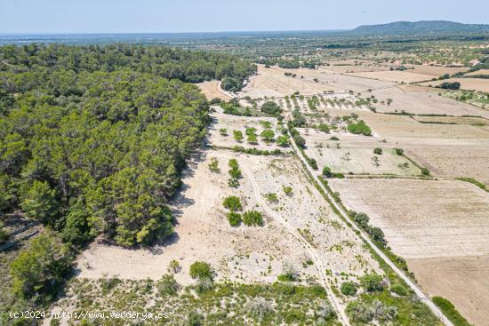 Terreno rústico en Porreres - BALEARES