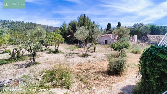 CHALET EN EL CAMPO - BALEARES