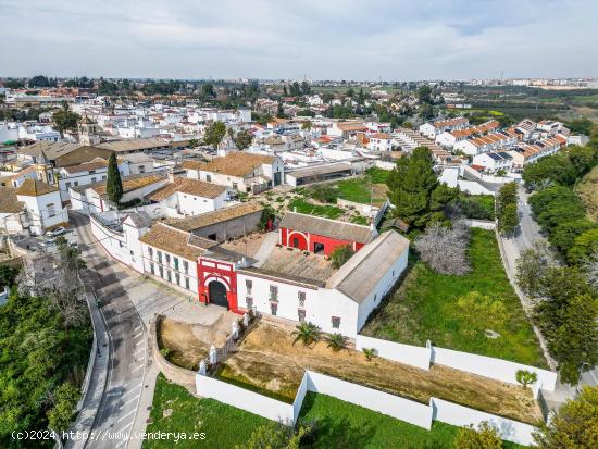 Se Vende en Palomares del Rio - SEVILLA