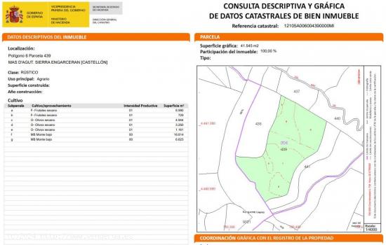 FINCA RUSTICA EN VENTA DE 4 HECTAREAS Y POSIBILIAD DE 7 HECTAREAS - CASTELLON