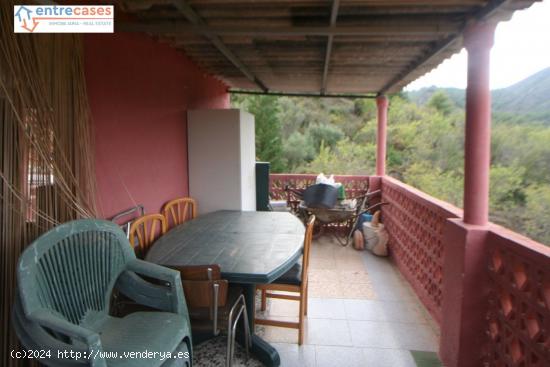 TERRENO CON CASITA  EN MONTAÑA ,  cerca del Barrand del Marianet - CASTELLON