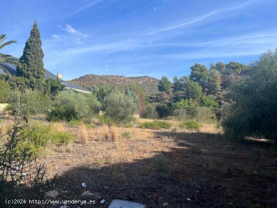 TERRENO URBANO EN LOS MONASTERIOS - VALENCIA