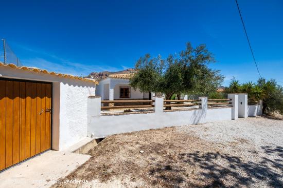 Chalet rural con casi 5000 metros de parcela - ALMERIA