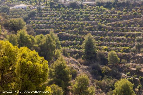 Finca de Agucates - GRANADA