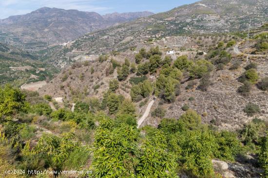 Finca de Agucates - GRANADA