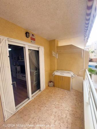 APARTAMENTO EN EL CENTRO. 2 DOR. 1 BAÑO. AMPLIA TERRAZA.PISCINA. PLAZA DE APARCAMENTO. - ALICANTE