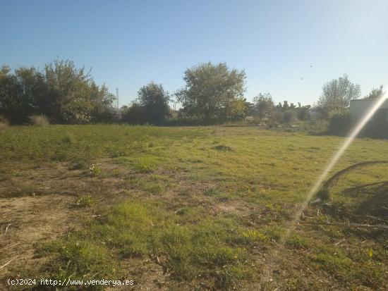 PARCELA DE HUERTA EN SANTA CRUZ MURCIA - MURCIA