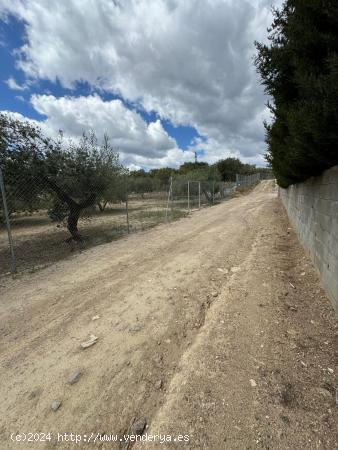 EXCELENTE OPORTUNIDAD DE TERRENO EN LES BORGES - TARRAGONA