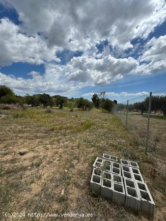 EXCELENTE OPORTUNIDAD DE TERRENO EN LES BORGES - TARRAGONA