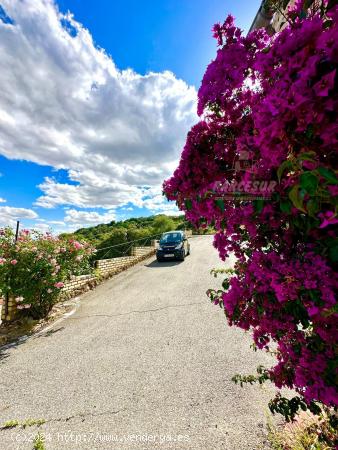 CTRA LA ERMITA - CORDOBA