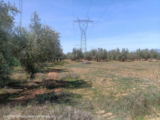 TERRENO RUSTICO EN  ZONA EL TORREÓN-CHAPARRAL - GRANADA