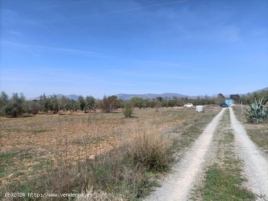 TERRENO RUSTICO EN  ZONA EL TORREÓN-CHAPARRAL - GRANADA