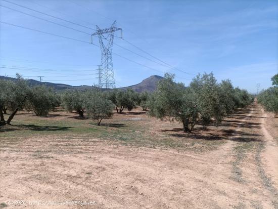 TERRENO RUSTICO EN  ZONA EL TORREÓN-CHAPARRAL - GRANADA