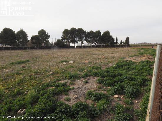 Se vende parcela de terreno rustico en la carretera de Argamasilla de Alba - CIUDAD REAL