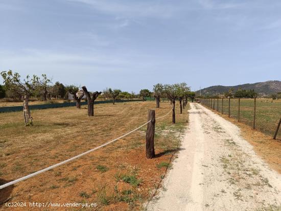 Bonita finca cerca de Inca - BALEARES