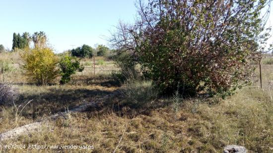 SE VENDE PARCELA RÚSTICA EN EL LLANO DE MOLINA - MURCIA